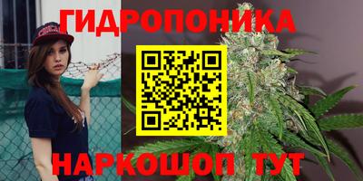 шишки Бугуруслан