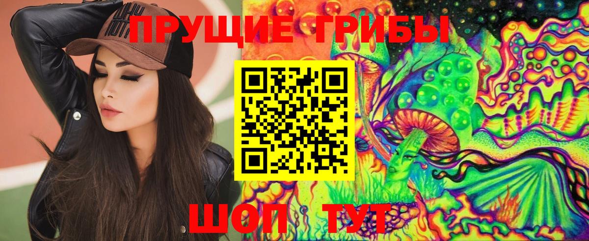 Галлюциногенные грибы Psilocybine cubensis Сафоново